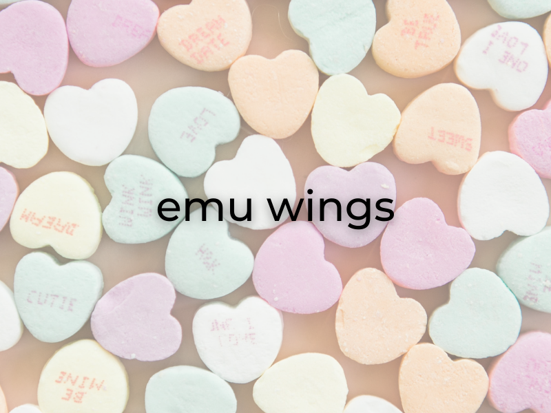 emu-wings.png